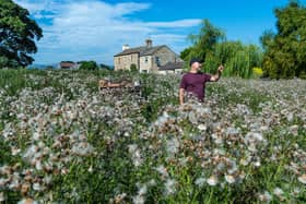 Martyn Strong in the wildflower meadow with Mill Farm in the background
