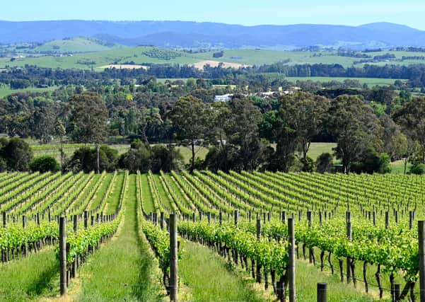 The Yarra Valley produces excellent Chardonnays.