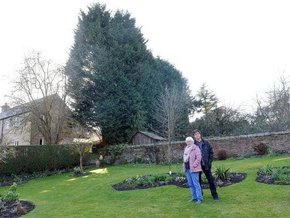 Richard and Sheila Cory in their Eckington garden - with the hedge in the background