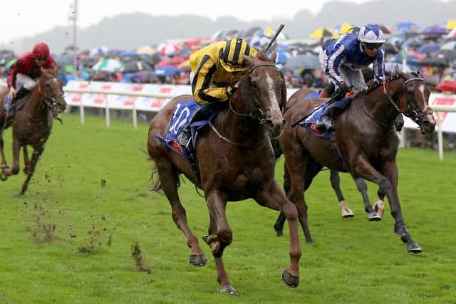 Sonnyboyliston, pictured winning the Sky Bet Ebor, will not contest the melbourne Cup, says trainer Johnny Murtagh.