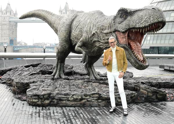 Jeff Goldblum attending a photocall for Jurassic World: Fallen Kingdom. Picture: Ian West/PA Wire