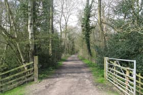 Part of the old Nidd Valley Railway trackbed passes through woodland in Lower Nidderdale