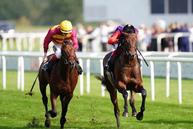 Bayside Boy and David Egan (left) leads from Reach For The Moon and Frankie Dettori to come home and win the Champagne Stakes during Cazoo St Leger Day.