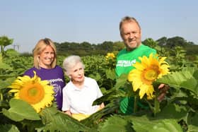 Farmers David and Rachael Sowray have planted 10 acres of sunflowers