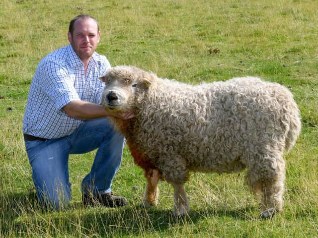 Ashley with one of his sheep