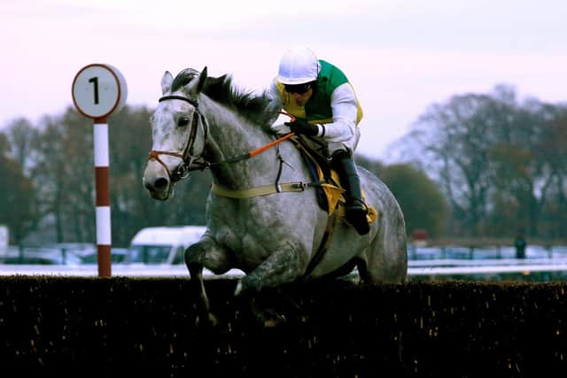 Danny Cook in winning action aboard Vintage Clouds.