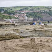 The state of public toilets at Robin Hood's Bay has been highlighted by a concerned reader.