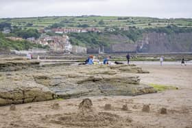 The state of public toilets at Robin Hood's Bay has been highlighted by a concerned reader.
