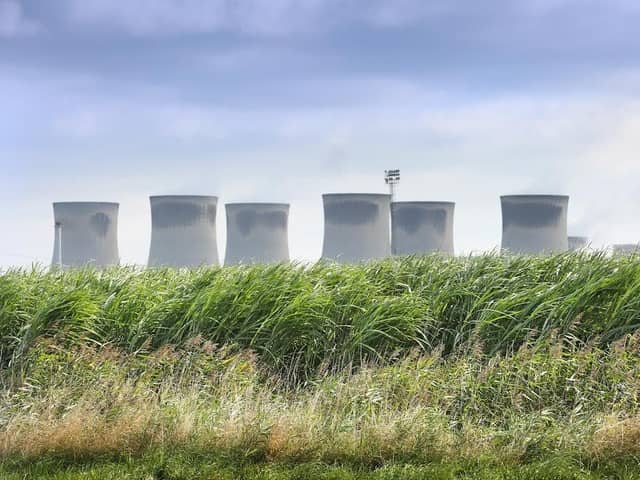 A Terra Vesta Miscanthus field located by Drax Power Station.