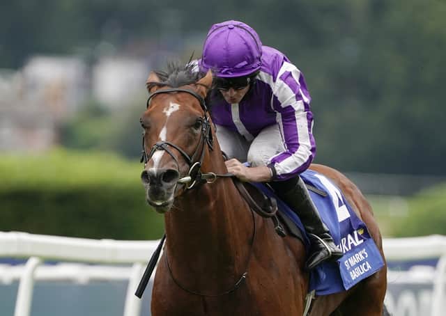 Wait and see: Aidan O’Brien’s five-time Group 1 winner St Mark’s Basilica is currently recovering from a leg injury. (Photo by Alan Crowhurst/Getty Images)