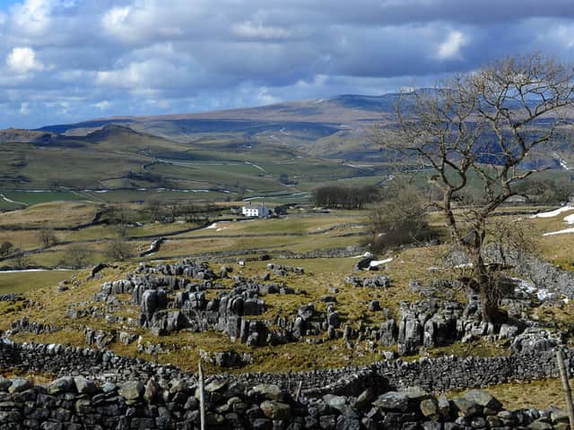 The hills above Langcliffe looking back to Ingleborough. Picture by Simon Hulme.