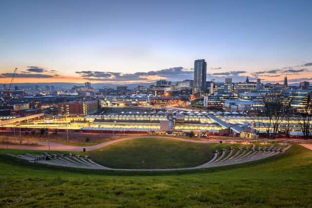 The Sheffield skyline - but what policies should South Yorkshire's new mayor prioritise? Columnist Jayne Dowle gives her suggestions.