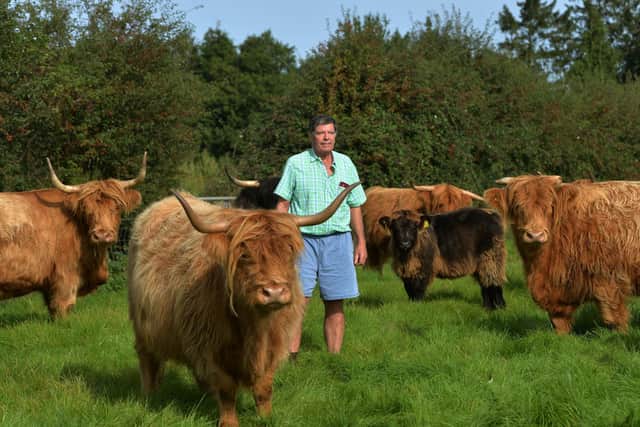 Highland cattle are John's only livestock