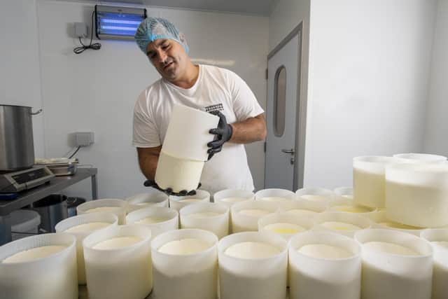 Mario  Olianas turns cheeses. .  Picture Bruce Rollinson