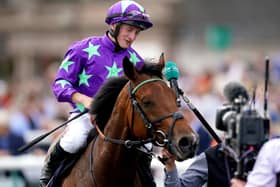 his was the William Haggas-trained Hurricane Ivor winning at Doncaster on St Leger day under Tom Marquand.