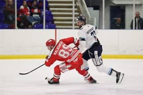 Matt Bissonnette battles with Swindon Wildcats' Tomasz Malasinski during Saturday's 7-2 win at Ice Sheffield in the NIHL Autumn Cup. Picture via Steeldogs Media.