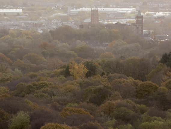 More than a million trees will be planted along the M62 corridor