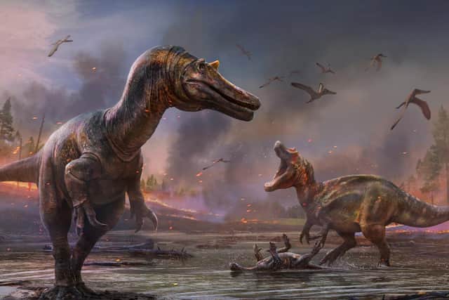 One of the dinosaurs has been named Ceratosuchops inferodios - which translates as "horned crocodile-faced hell heron."
