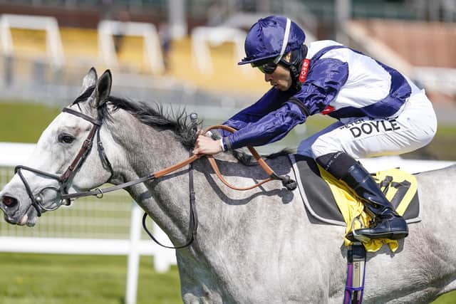 Sean Levey has high hopes for Snow Lantern in today's Sun Chariot Stakes at Newmarket.