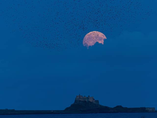 Full moon rising over Lindisfarne Castle, Holy Island, Northumberland Picture: Charlotte Graham