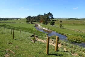 Farmers and landowners will be able to 'bid' for funding to make environmental improvements to their land.
