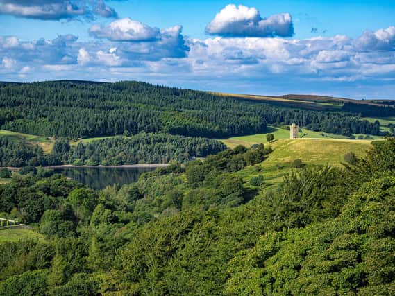 Boot's Folly surrounded by greenery in the Peak District. Picture: Tony Johnson.