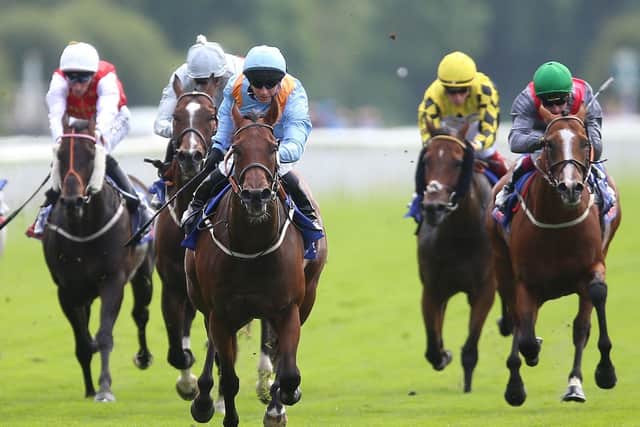 Tim Easterby's Copper Knight (centre, blue) is now a six-time winner at York.