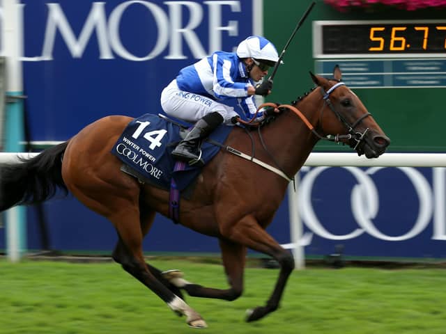 This was Tim Easterby's Winter Power winning the Nunthorpe Stakes at the Ebor Festival.