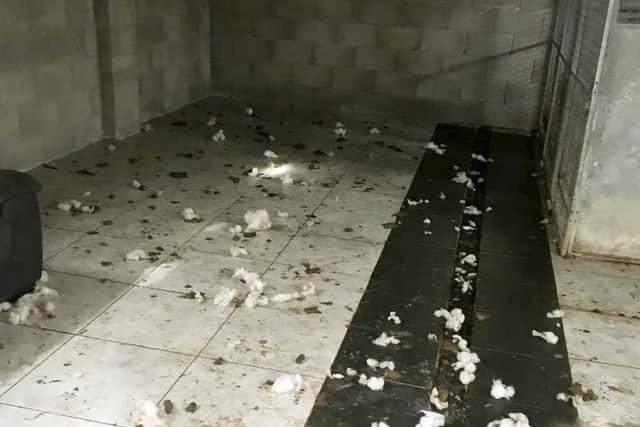 The dogs were kept in squalid conditions