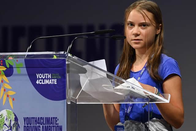 Climate change campaigner Greta Thunberg continues to polarise public opinion.