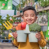 It’s Good To Grow aims to transform 14,000 schools in Britain into Morrisons Growing Schools