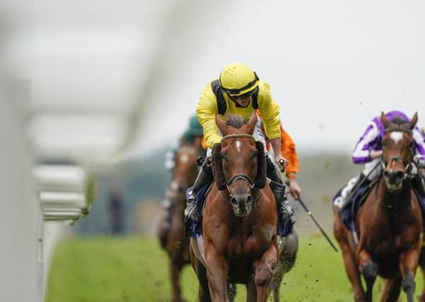 This was Addeybb and Tom Marquand  winning the Qipco Champion Stakes at Ascot last October.