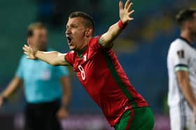 STUNNING STRIKE: Todor Nedelev scored both of Bulgaria's goals in their win over Northern Ireland. Picture: Getty Images.