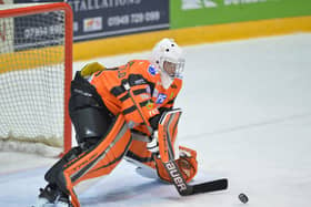 GAME TIME: Sheffield Steelers' goalie Ben Churchfield is expected to go straight in net for Leeds Knights to face Sheffield Steeldogs on Friday niht. Picture: Dean Woolley.