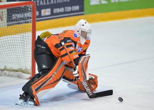 GAME TIME: Sheffield Steelers' goalie Ben Churchfield is expected to go straight in net for Leeds Knights to face Sheffield Steeldogs on Friday niht. Picture: Dean Woolley.