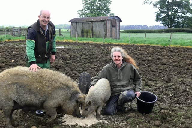Mangalitza pig breeder Lisa Hodgson and her husband