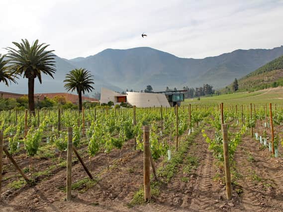 The modern Errazuriz winery in Chile.