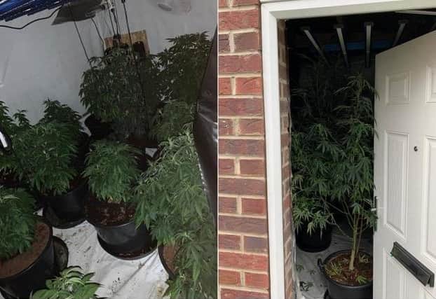 The cannabis factory in Doncaster