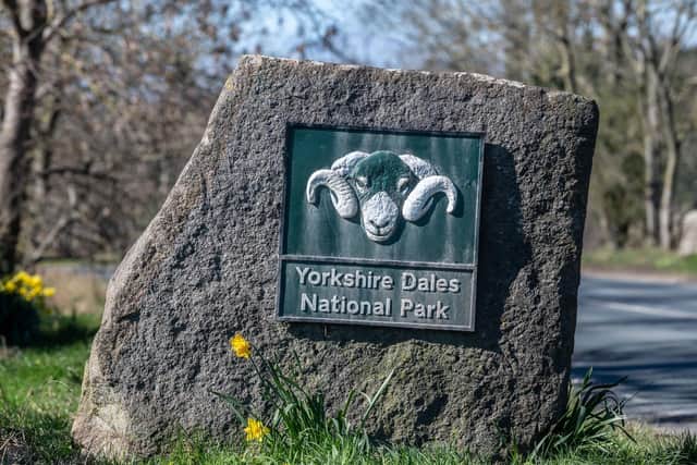 A meeting of the Yorkshire Dales National Park Authority’s planning committee heard the Ingleborough Estate needed to create a timber wagon turning and timber stacking area