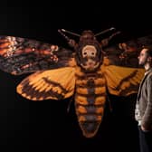 Exhibition of images of insects close-up at the Leeds City Museum