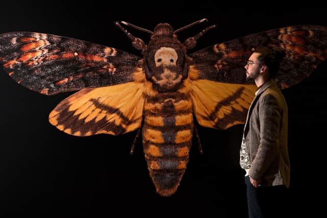 Exhibition of images of insects close-up at the Leeds City Museum