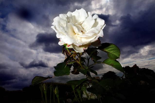 Does Welcome to Yorkshire's turmoil help or hinder the case for One Yorkshire?