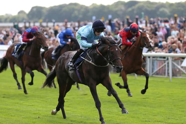Mark Johnston's Royal Patronage - pictured winning at the Ebor Festival under Jason Hart - lines up in tomorrow's Vertem Futurity Trophy at Doncaster.