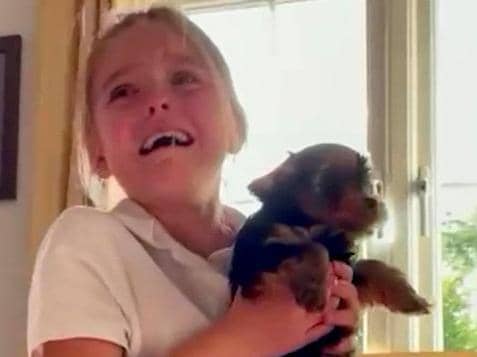 Esmae, nine, was thrilled with her new Yorkshire terrier puppy