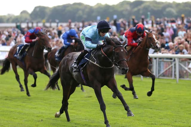 Mark Johnston's Royal Patronage, pictured winning at York's Ebor Festival under Jason Hart, lines up in today's Vertem Futurity Trophy at Doncaster.