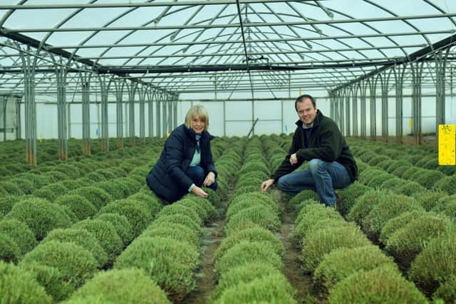 Alison and Philip Dodd at Herbs Unlimited
