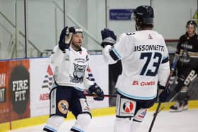 WHAT A PAIR: Jason Hewitt, left, and line-mate Matt Bissonnette have combined well for Sheffield Steeldogs this season. Picture courtesy of Peter Best.