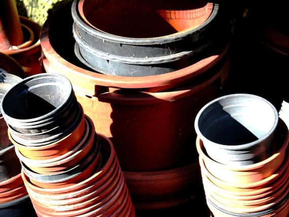 Now is the time to clean and disinfect your pots.