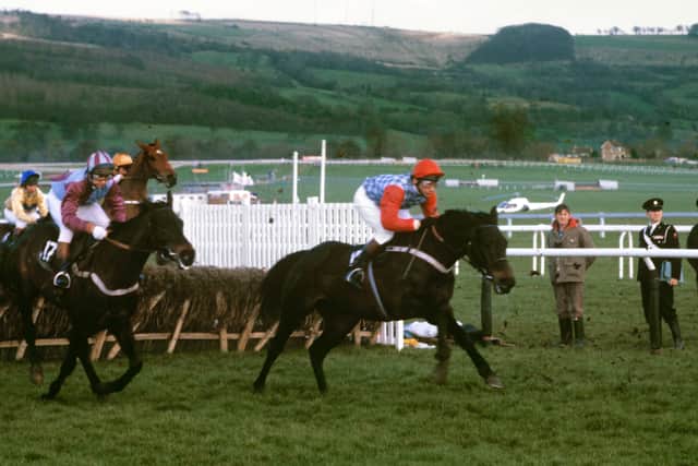 Horses like Sea Pigeon, pictured winning the 1981 Champion Hurdle under John Francome, inspired author Neil Clark's love of jump racing.