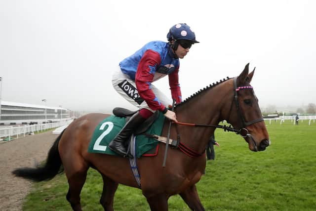Paisley Park and Aidan Coleman are due to line up in Wetherby's West Yorkshire Hurdle this Saturday.